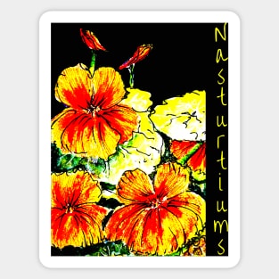 Nasturtiums on Black no Happy Birthday Sticker